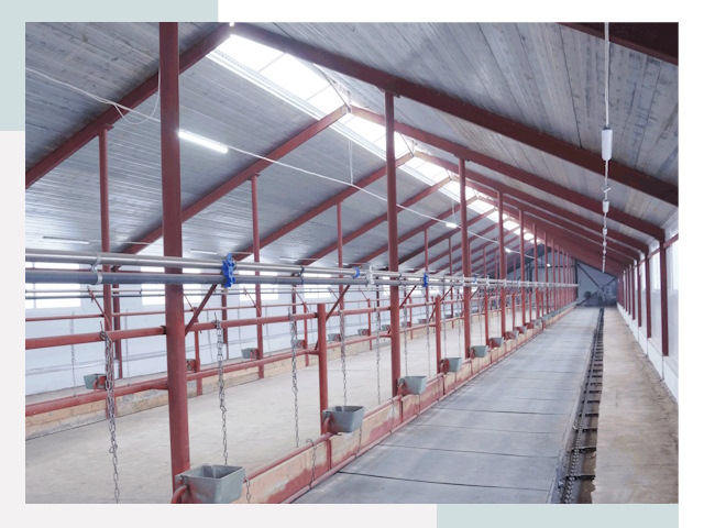 Строительство коровников в Новороссийске от 612 руб.