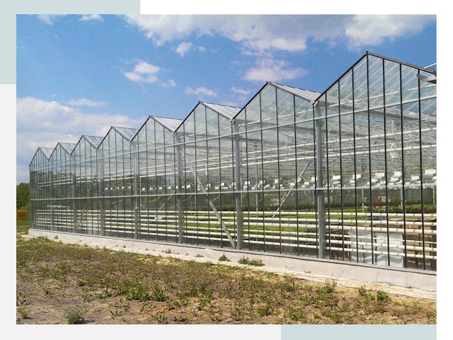 Строительство теплиц в Новороссийск от 612 руб. за м²